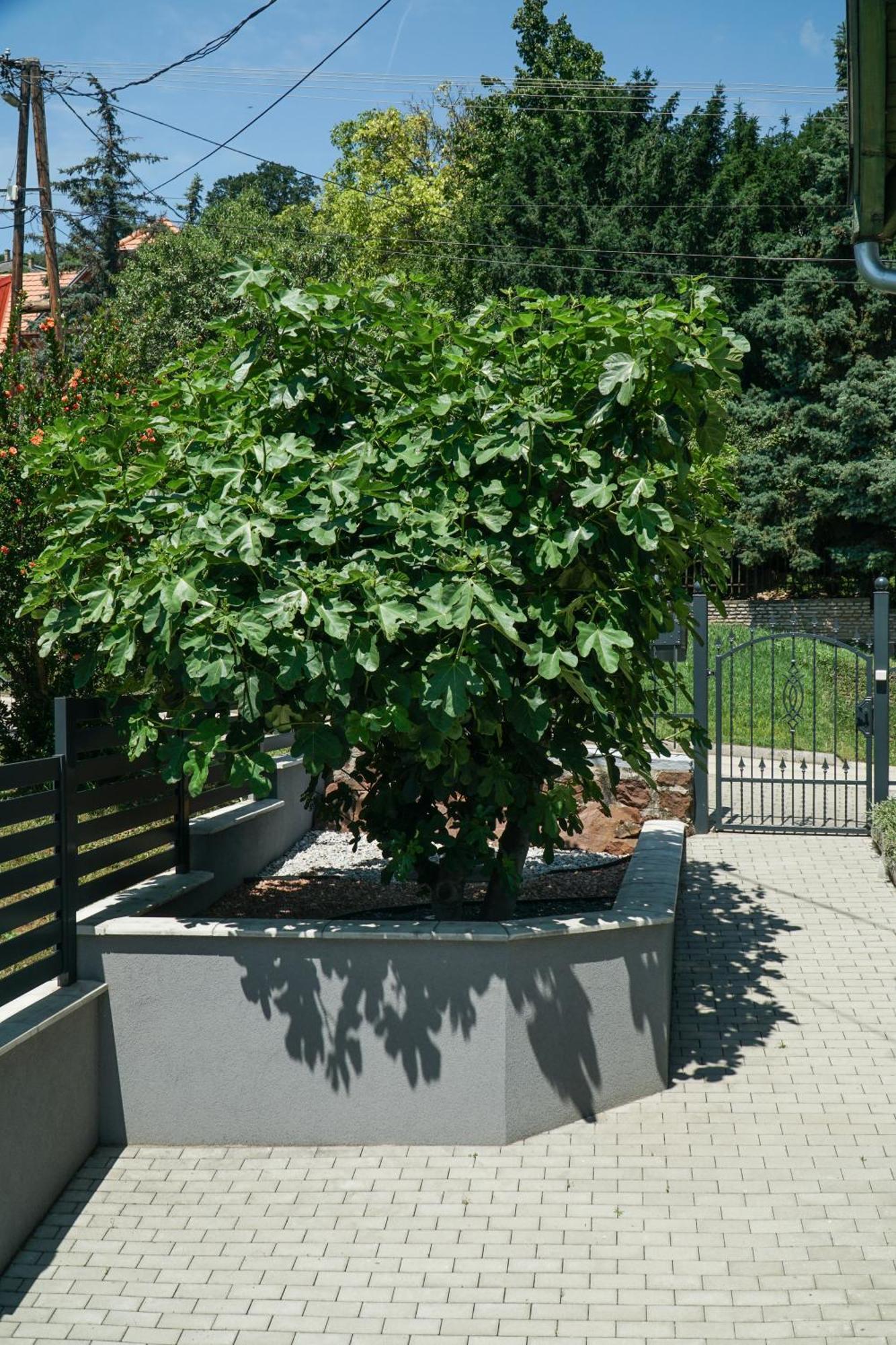 Balatonalmádi Fuegefa Apartman מראה חיצוני תמונה